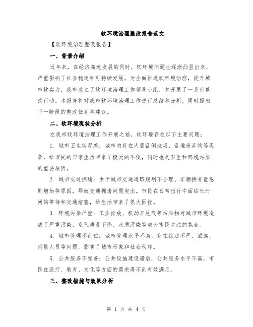 软环境治理整改报告范文