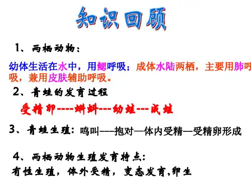 鸟的生殖和发育