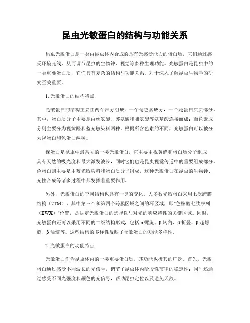 昆虫光敏蛋白的结构与功能关系