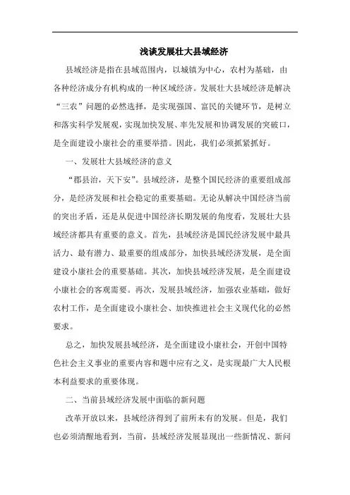 发展壮大县域经济论文