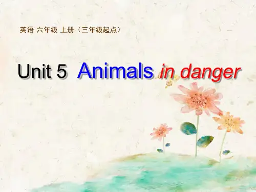 小学英语六年级上册(上海教育版)Unit 5《Animals in danger》课件