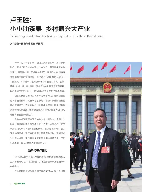 卢玉胜：小小油茶果_乡村振兴大产业