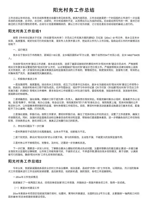阳光村务工作总结