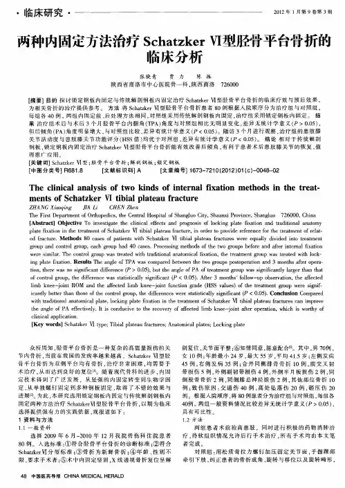 两种内固定方法治疗Schatzker Ⅵ型胫骨平台骨折的临床分析