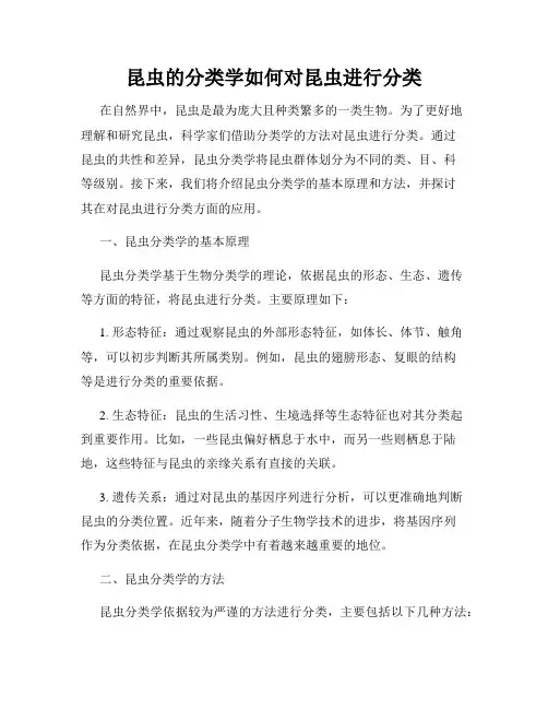 昆虫的分类学如何对昆虫进行分类