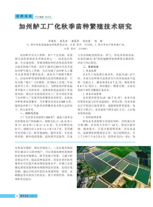 加州鲈工厂化秋季苗种繁殖技术研究