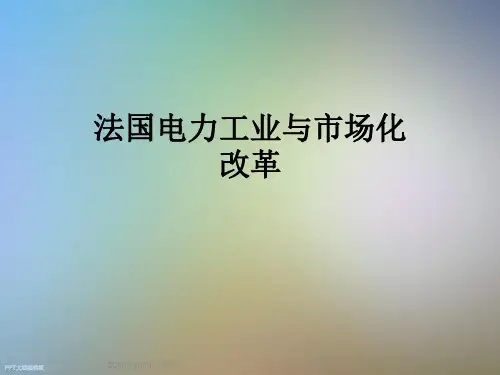 法国电力工业与市场化改革