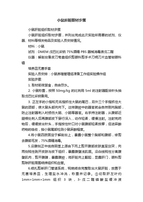 小鼠肝脏取材步骤