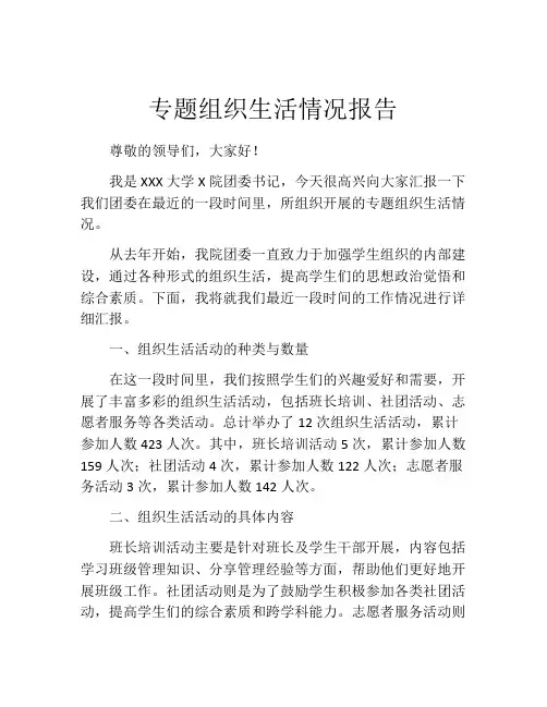 专题组织生活情况报告