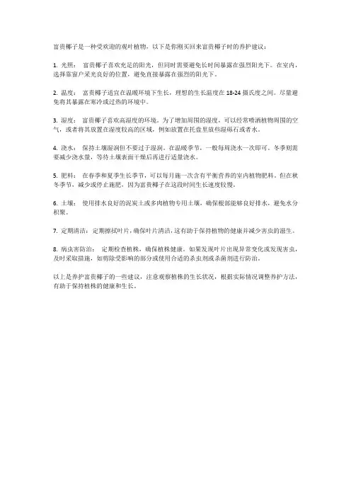 富贵椰子刚买来怎样养 