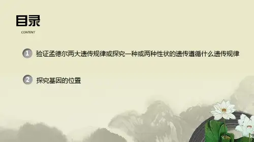 遗传的实验设计.pptx
