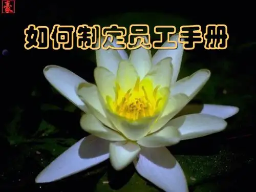怎样制定员工手册(ppt 95页)