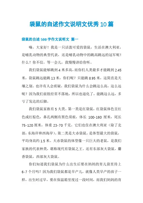 袋鼠的自述作文说明文优秀10篇