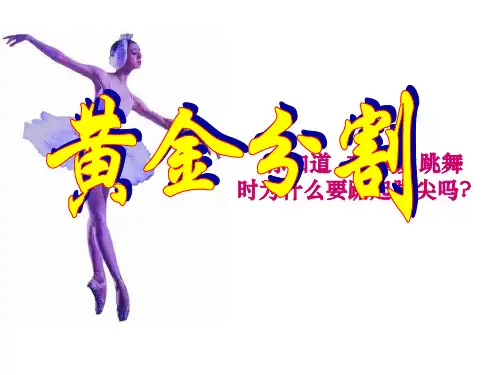 苏教版八下10.2黄金分割