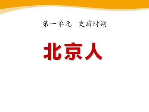 《北京人》史前时期PPT课件2