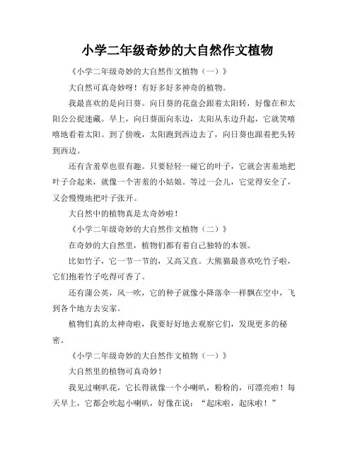 小学二年级奇妙的大自然作文植物