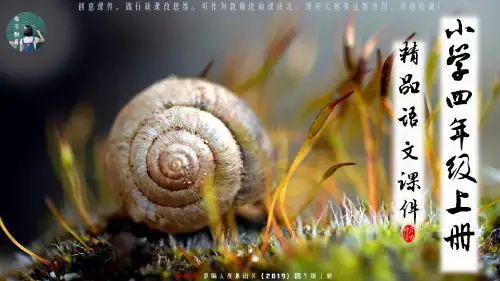四年级上册 20 陀螺 精品课PPT课件(统编语文)