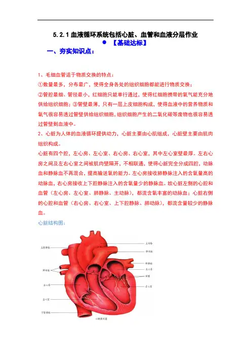 5.2.1 (分层+特色作业)血液循环系统包括心脏、血管和血液(原卷版)