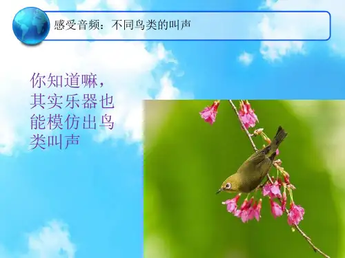 唢呐曲《百鸟朝凤》课件