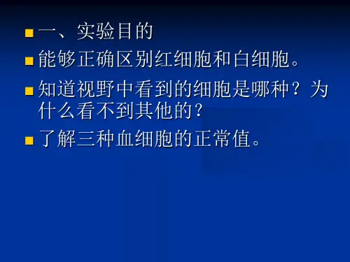 观察人血的永久涂片