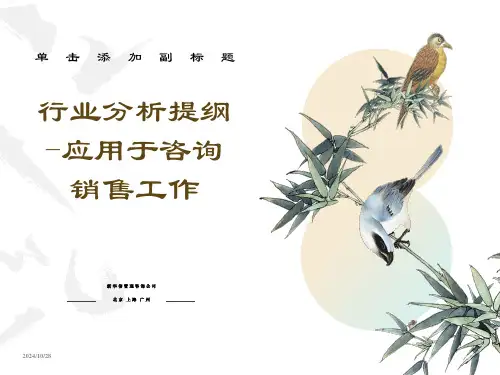 华信行业分析模板咨询顾问必备