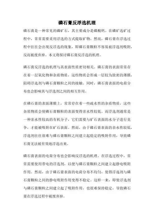磷石膏反浮选机理