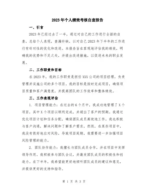 2023年个人绩效考核自查报告