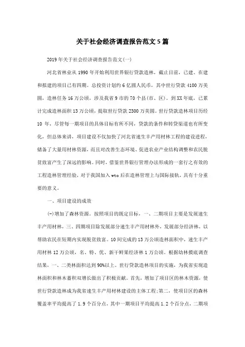关于社会经济调查报告范文5篇