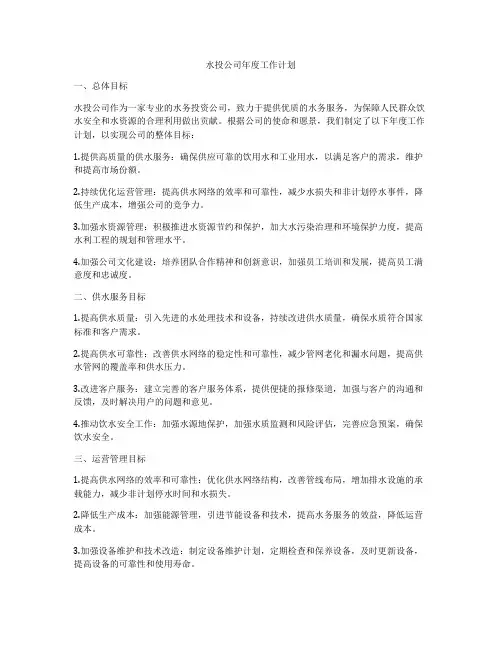 水投公司年度工作计划