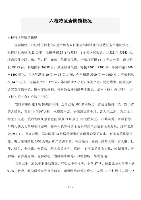 六枝特区岩脚镇概况