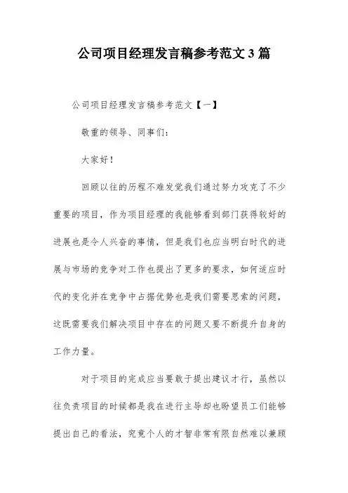 公司项目经理发言稿参考范文3篇