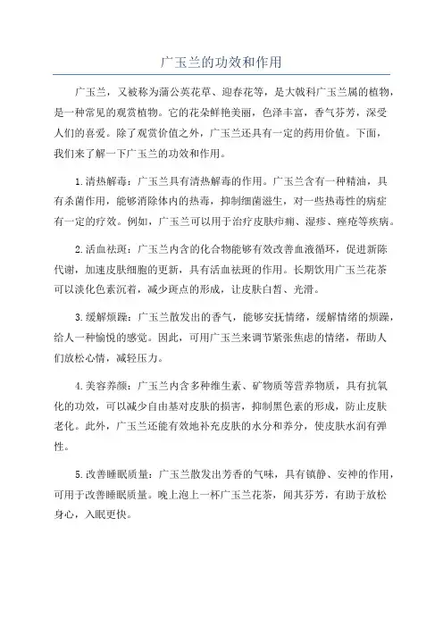 广玉兰的功效和作用