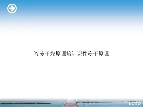 冷冻干燥原理培训课件冻干原理优选文档