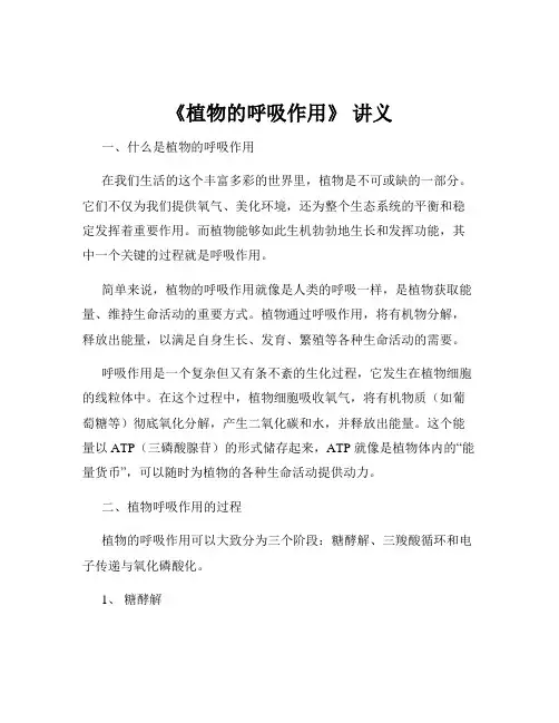 《植物的呼吸作用》 讲义