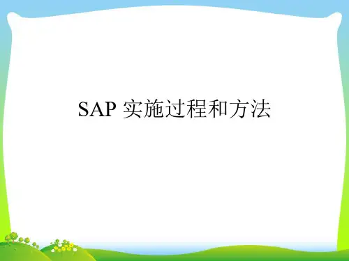 SAP实施过程和方法(ppt36页)