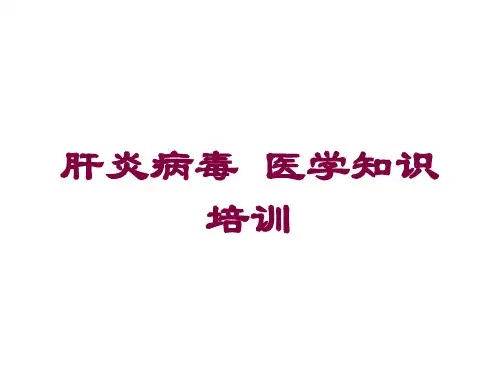 肝炎病毒-医学知识培训培训课件