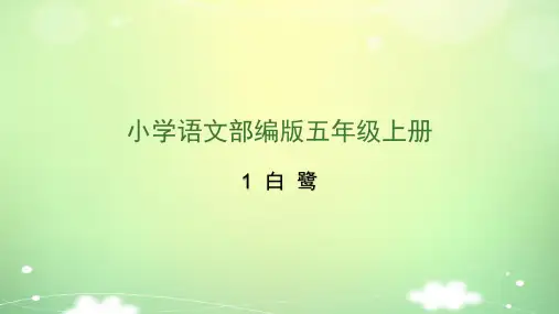新部编版五年级上册语文课件(完美版)1白鹭