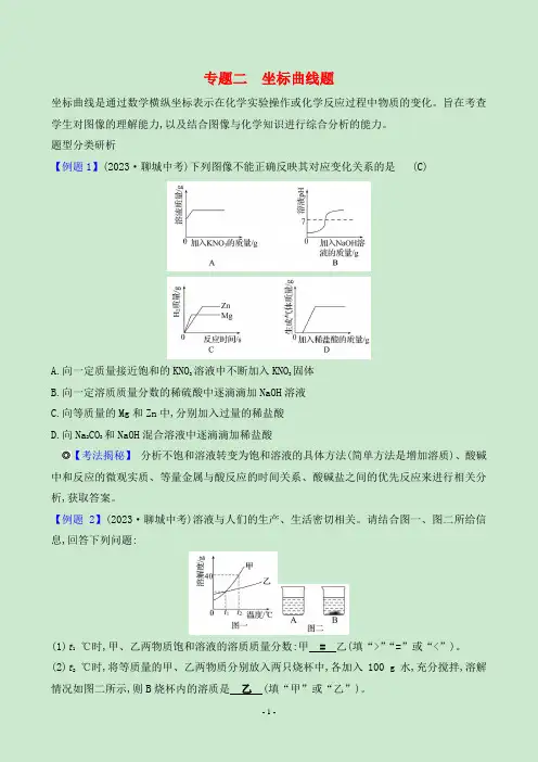 2024年中考化学总复习热点专题提升专题二坐标曲线题