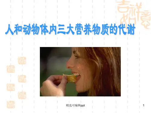 三大营养物质代谢的关系