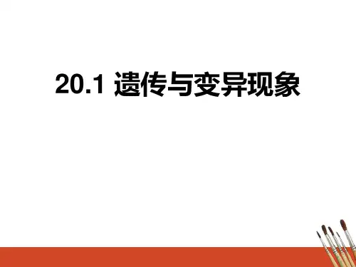 最新北师大版八年级生物上册《遗传和变异现象》精品教学课件