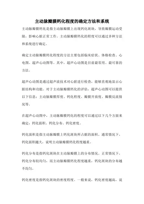 主动脉瓣膜钙化程度的确定方法和系统