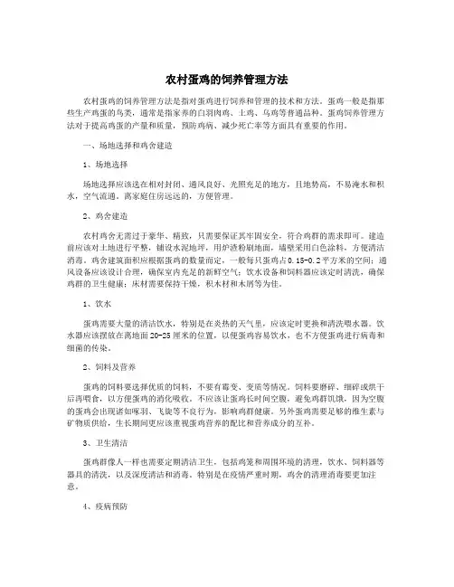 农村蛋鸡的饲养管理方法