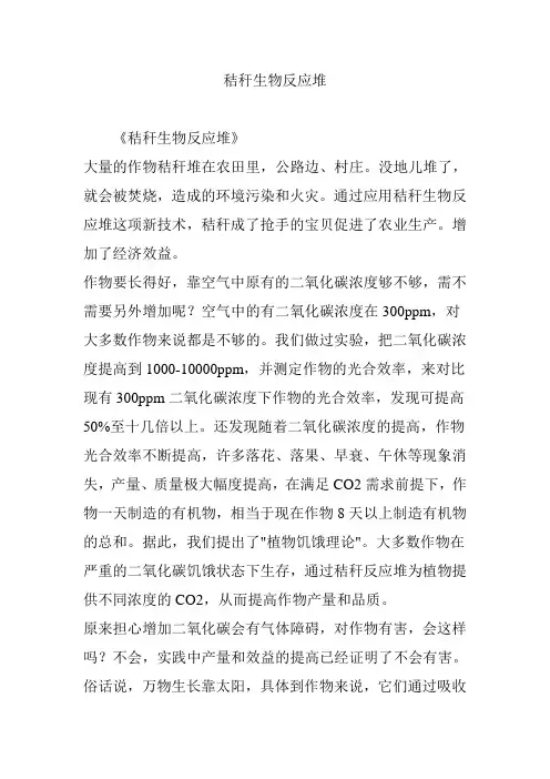 秸秆生物反应堆
