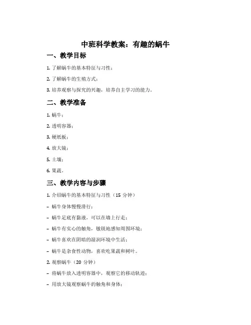 中班科学教案：有趣的蜗牛