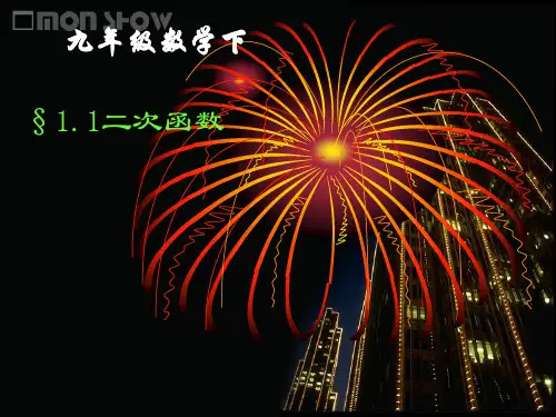 《二次函数》湘教版九年级下册课件