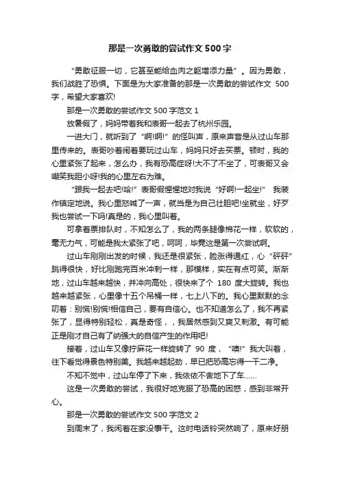 那是一次勇敢的尝试作文500字