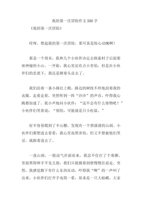 我的第一次冒险作文500字