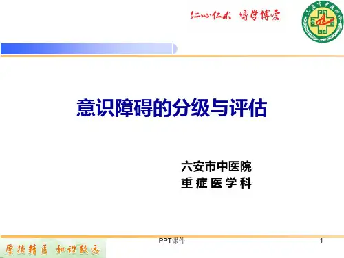 意识障碍的分级与评估  ppt课件