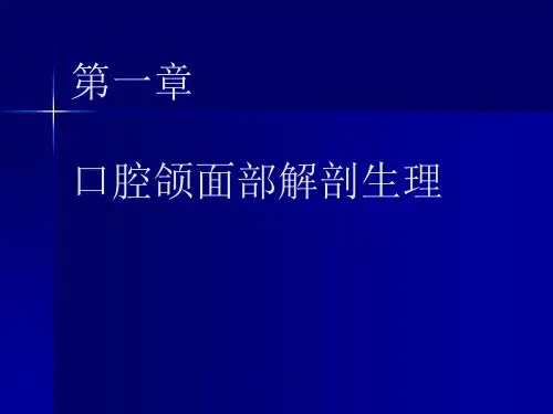 口腔颌面部解剖精品PPT课件