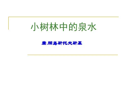 小树林中的泉水